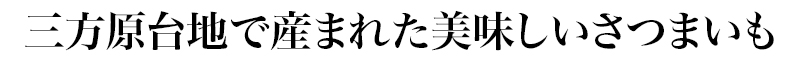 秋の味覚「さつまいも」の時期がきました